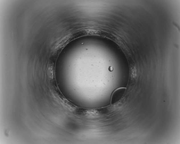 X0000100390666200806130953