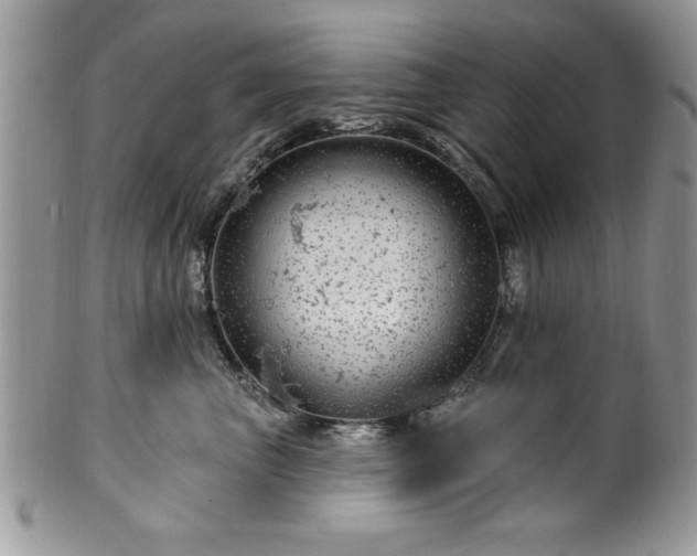 X0000100390667200806130953