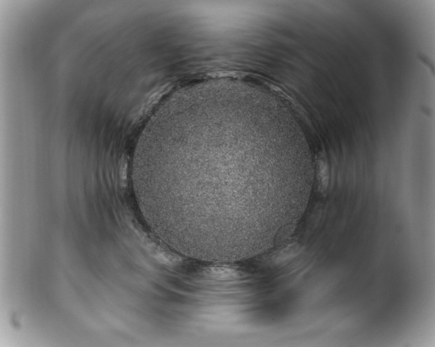 X0000100390668200806130953