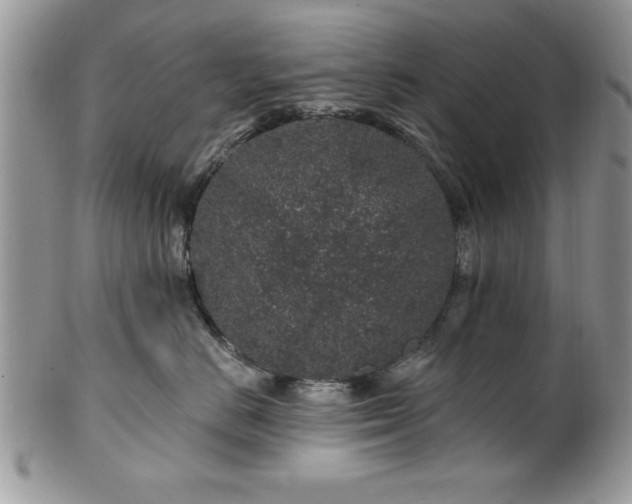 X0000100390670200806130953