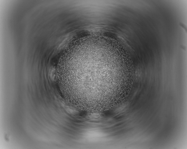 X0000100390671200806130953