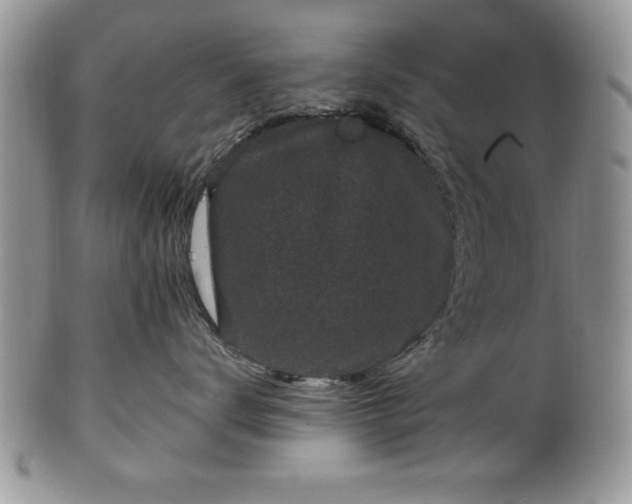 X0000100390672200806130953