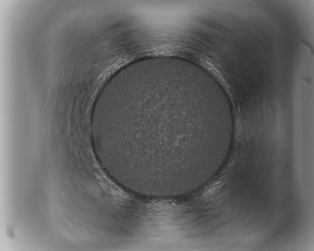 X0000100390673200806130952