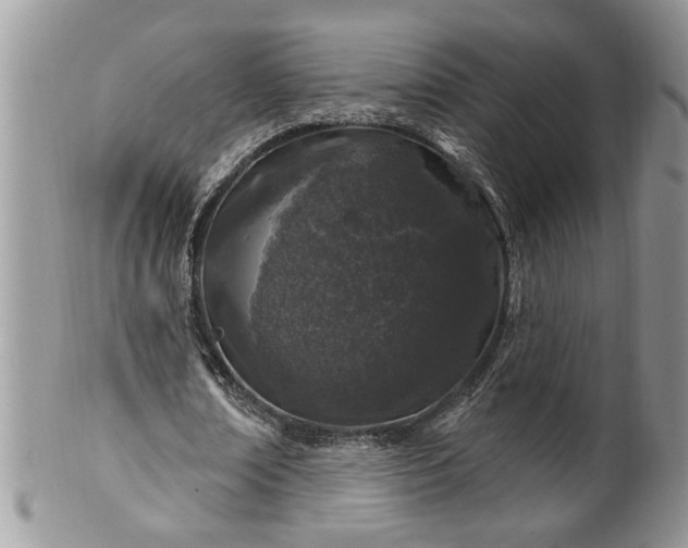 X0000100390674200806130952