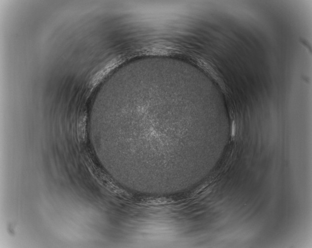 X0000100390675200806130952