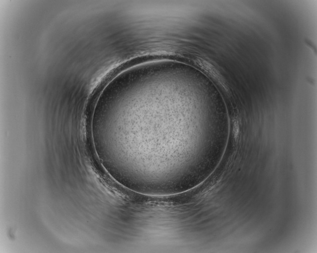 X0000100390676200806130952