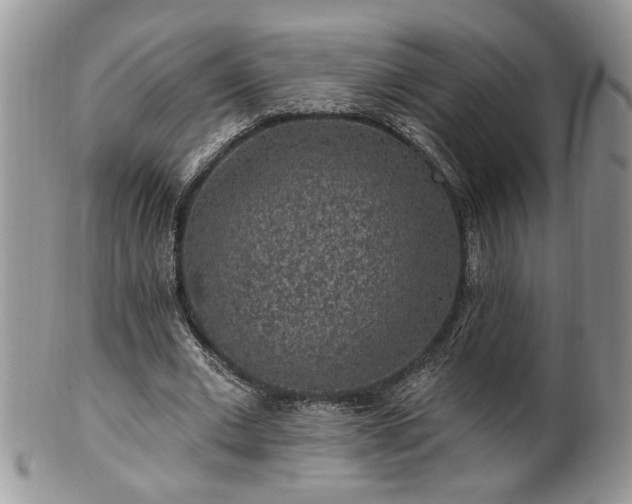 X0000100390677200806130952