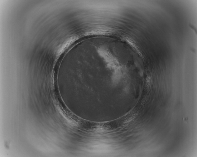 X0000100390678200806130952