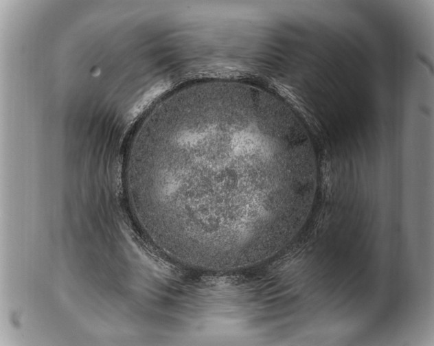 X0000100390679200806130952