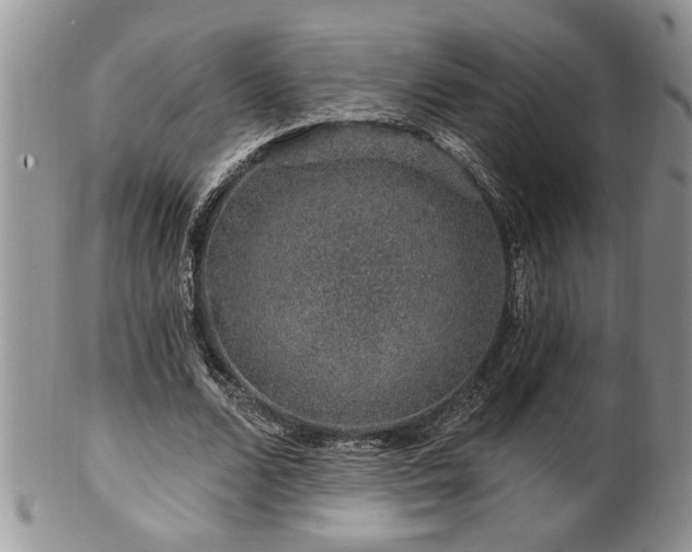 X0000100390680200806130952