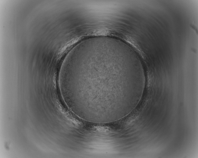 X0000100390681200806130952