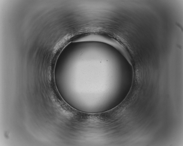 X0000100390682200806130952