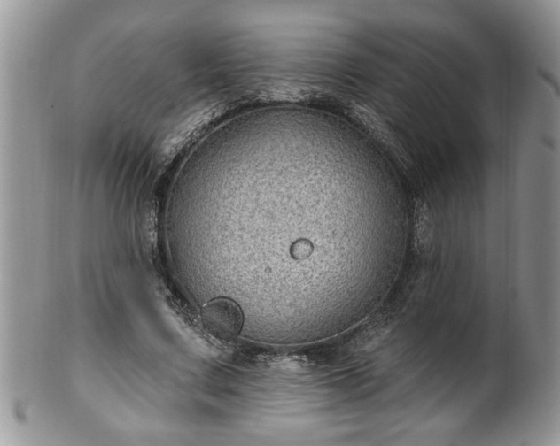 X0000100390683200806130952