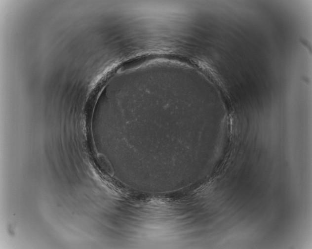 X0000100390684200806130952