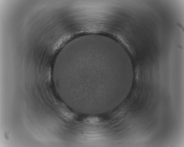 X0000100390685200806130952