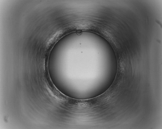 X0000100390686200806130952