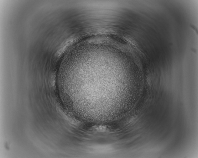 X0000100390687200806130952