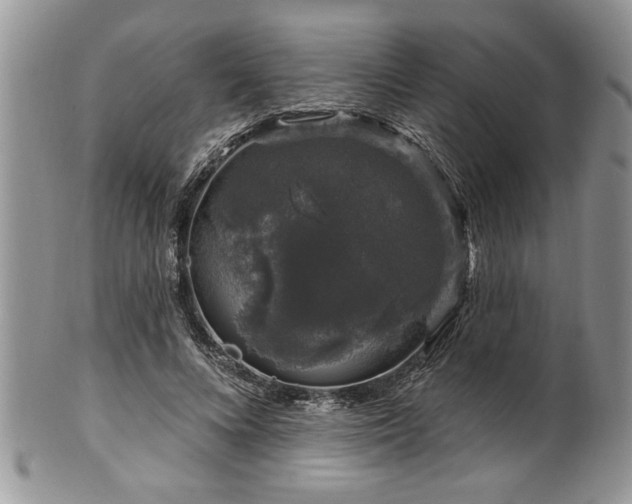 X0000100390688200806130952