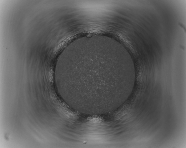 X0000100390689200806130952