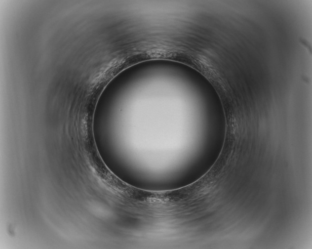 X0000100390690200806130952