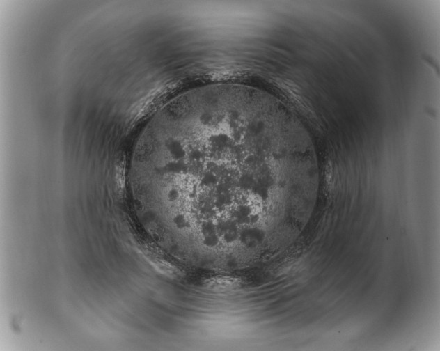 X0000100390691200806130952