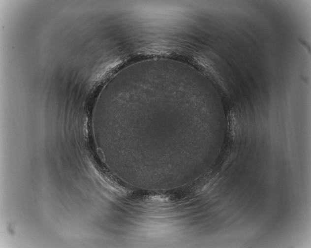 X0000100390692200806130952