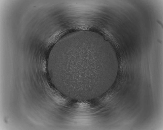 X0000100390693200806130952