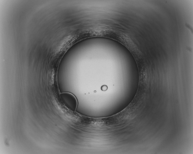 X0000100390694200806130952