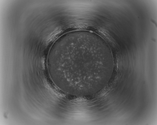 X0000100390696200806130952