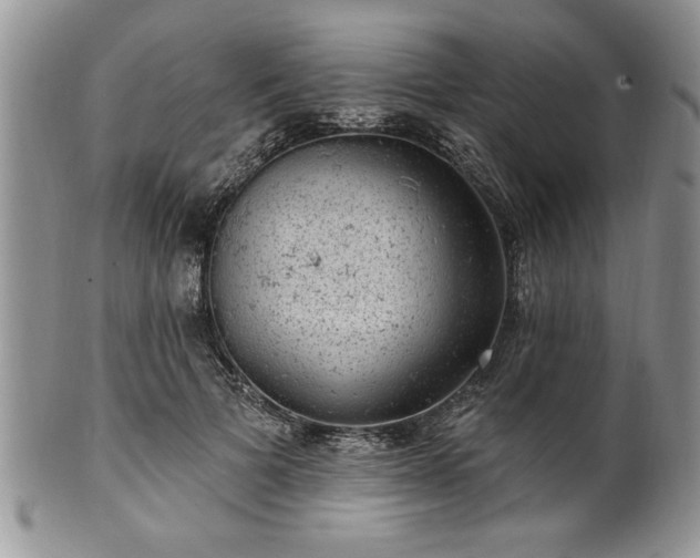 X0000100390697200806130952