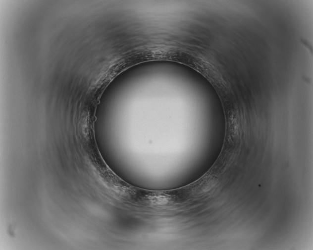 X0000100390698200806130952