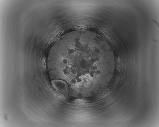 X0000100390699200806130952