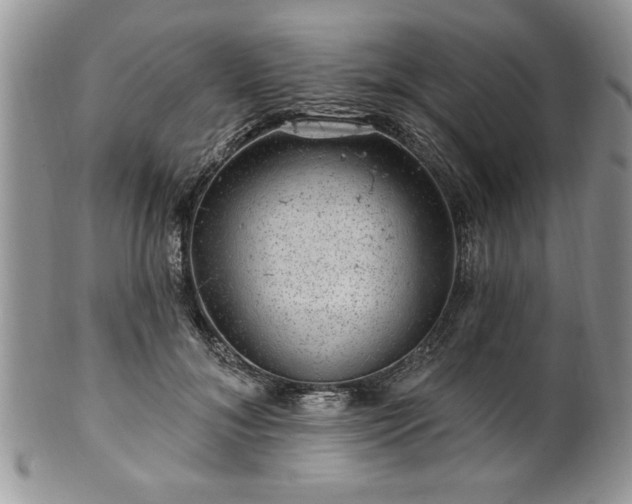 X0000100390700200806130952