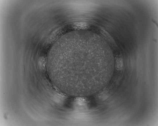 X0000100390701200806130952