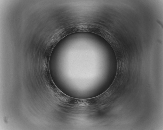 X0000100390702200806130952