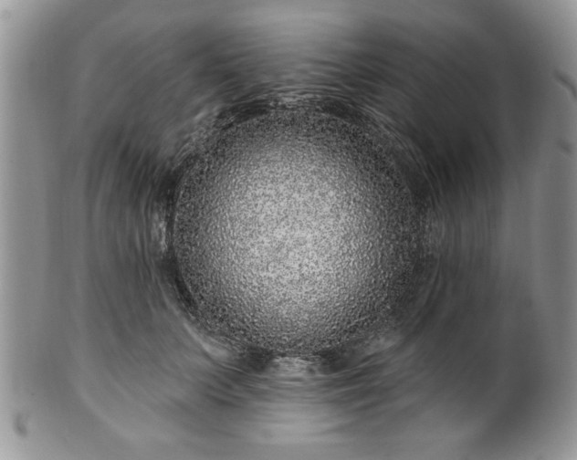 X0000100390703200806130952