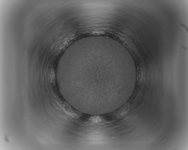 X0000100390704200806130952