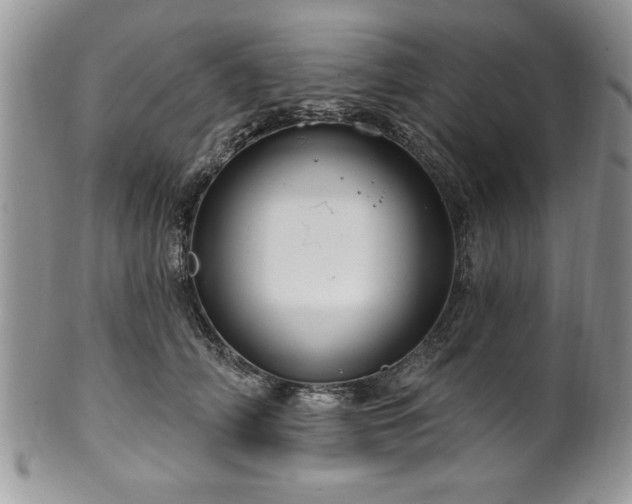 X0000100390706200806130952