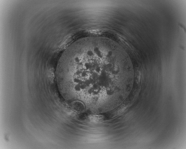 X0000100390707200806130952