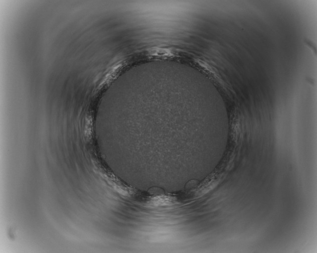 X0000100390708200806130952