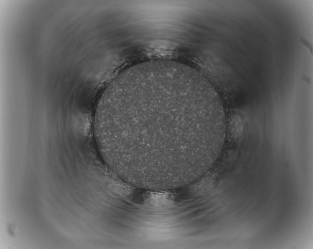 X0000100390709200806130952