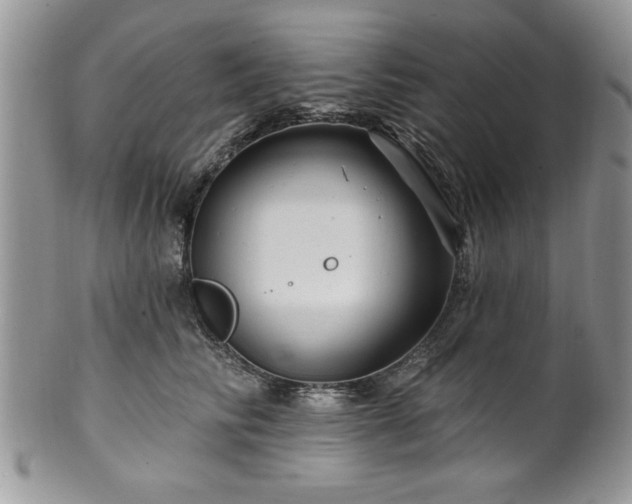 X0000100390710200806130952