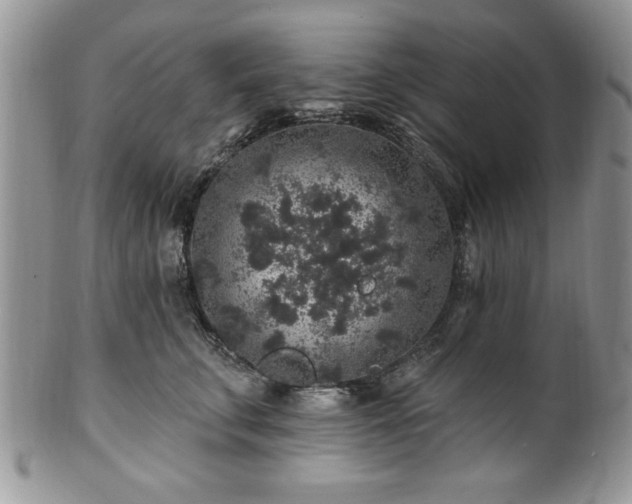 X0000100390711200806130952