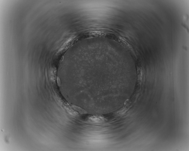 X0000100390712200806130952