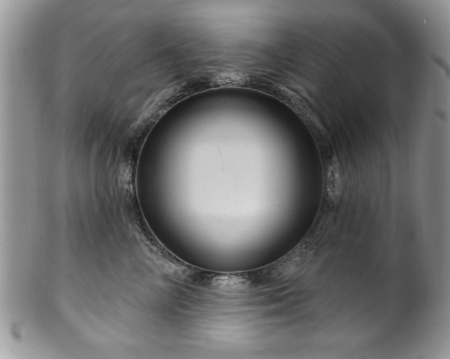 X0000100390714200806130952