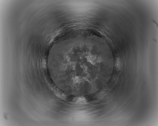 X0000100390715200806130952