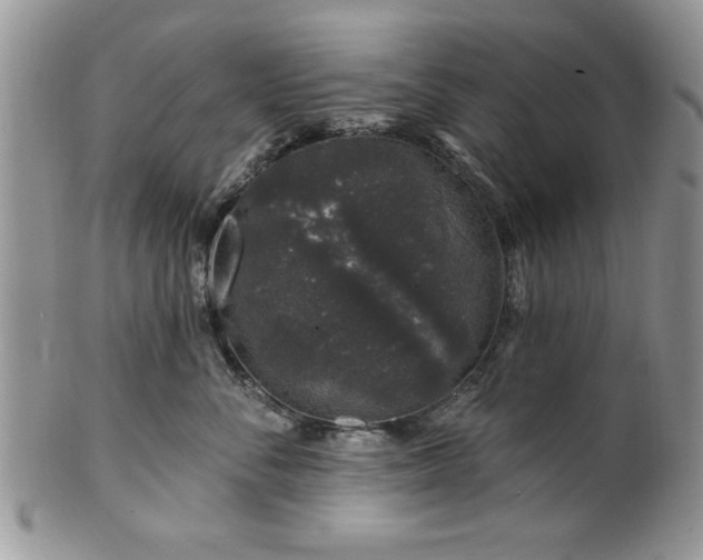 X0000100390716200806130952