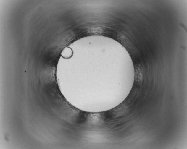 X0000100390717200806130952