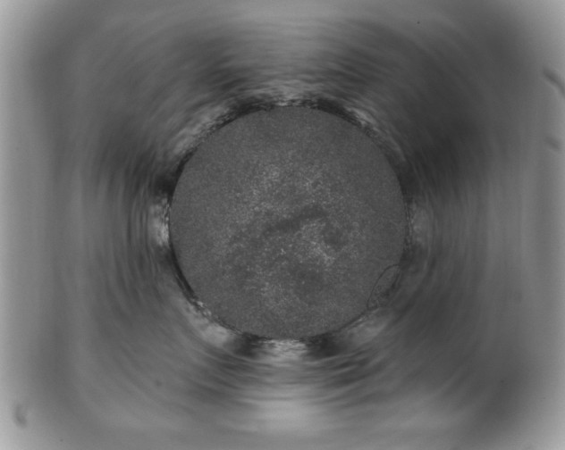 X0000100390719200806130952