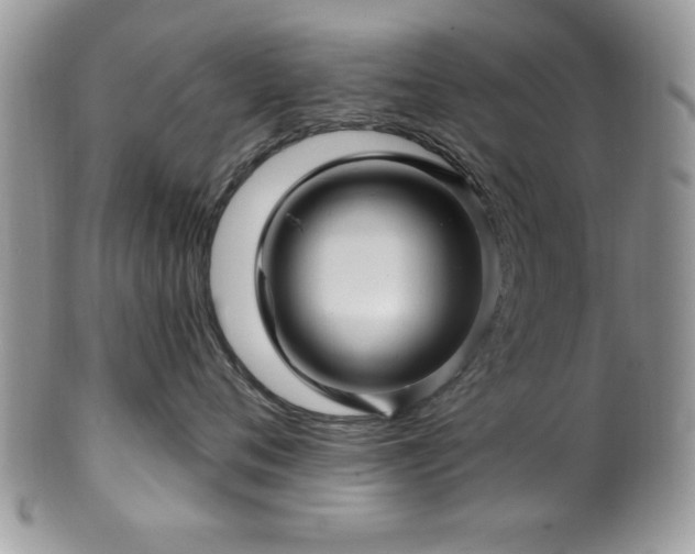 X0000100390720200806130952